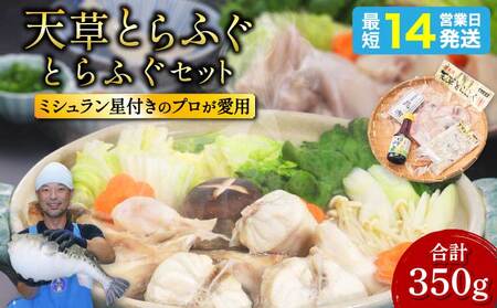 ふぐ 【ミシュラン2つ星店 採用】 とらふぐ ふぐ 刺身 計350g 国産ふぐ 天草とらふぐ 国産とらふぐ 最高級ふぐ