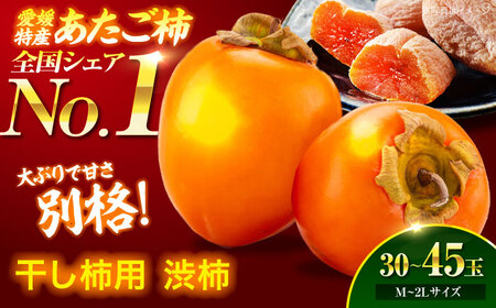 干し柿用 渋柿 あたご柿 10kg [AGBN022] | 愛媛県大洲市 | ふるさと
