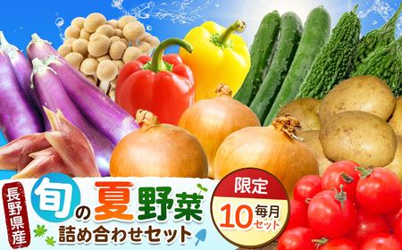 先行受付！天龍村の旬の夏野菜（農産物）詰め合わせセット 令和8年 7月～9月配送予定