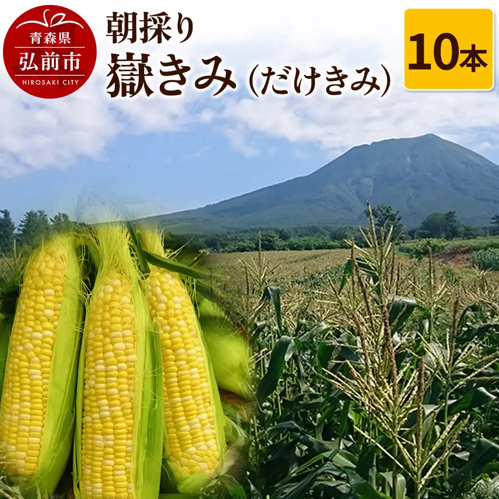 【26年8月発送】とうもろこし 朝採り 嶽きみ（だけきみ）10本