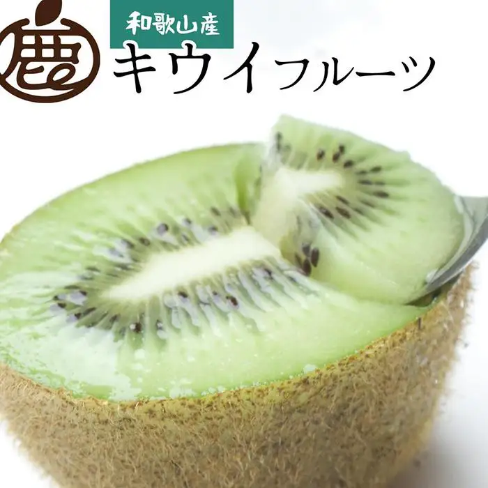 ［先行予約］厳選 キウイ1kg+250g（傷み補償分）【扁平果】［IKE106］