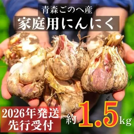 【先行受付:2026年7月より発送】青森ごのへ町産にんにく　家庭用土付きLサイズ以上 約1.5kg【配送不可地域：離島・沖縄県】【1317794】