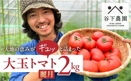 先行予約 ≪有機JAS認証≫ 大玉トマト 約 2kg（サイズ混合）【61-6】