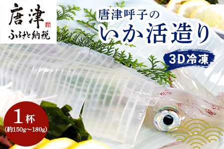 『先行予約』唐津呼子産いか活造り 1杯(約150g～180g)  急速冷凍 新鮮そのまま食卓へ！イカ 刺身 簡単 ギフト ※水揚げあり次第6月以降順次発送させていただきます。