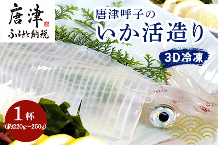 『先行予約』唐津呼子産いか活造り 1杯(約220g～250g) 急速冷凍 新鮮そのまま食卓へ！イカ 刺身 簡単 ギフト ※水揚げあり次第6月以降順次発送させていただきます。