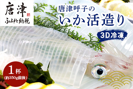 『先行予約』唐津呼子産いか活造り 1杯(約350g前後) 急速冷凍 新鮮そのまま食卓へ！イカ 刺身 簡単 ギフト ※水揚げあり次第6月以降順次発送させていただきます。