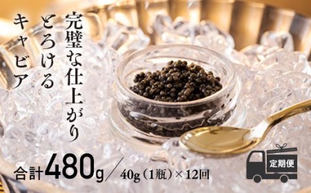 【定期便 12ヶ月】THE・CAVIAR（ザ・キャビア）40g　TF0497-P00066