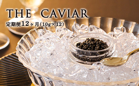 【定期便 12ヶ月】THE・CAVIAR（ザ・キャビア）10g　TF0494-P00066