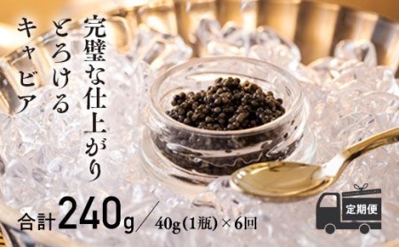 【定期便 6ヶ月】THE・CAVIAR（ザ・キャビア）40g　TF0493-P00066
