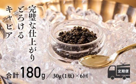 【定期便 6ヶ月】THE・CAVIAR（ザ・キャビア）30g　TF0492-P00066