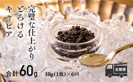 【定期便 6ヶ月】THE・CAVIAR（ザ・キャビア）10g　TF0490-P00066
