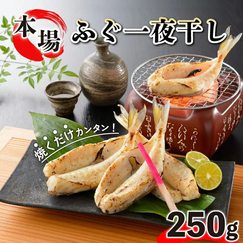 ふぐ 一夜干し 250g ふぐ FG