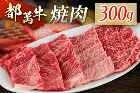 黒毛和牛＜都萬牛＞焼肉 300g【B575-2603】