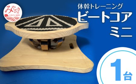 体幹トレーニング ビートコア ミニ雑貨 日用品 トレーニングマシン