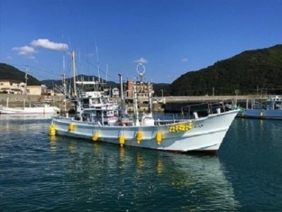 すさみの海での船釣りチケット（1名様分）【ssm100】