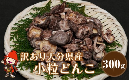 乾燥椎茸 国産 訳あり 小粒どんこ 300g | 乾しいたけ 干し椎茸 乾し椎茸 しいたけ 乾燥しいたけ 干しシイタケ 干ししいたけ  原木 大分県産 九州野菜 産地直送 九州産 中津市 送料無料