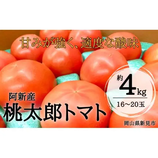 阿新産桃太郎トマト 1箱 約4kg 16～20玉 【7～9月限定】