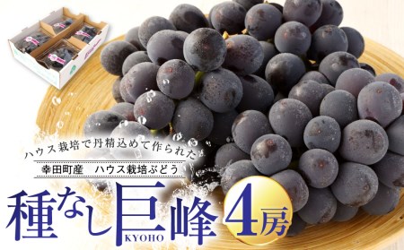 幸田町産 ハウス栽培ぶどう 「種なし巨峰」 4房 | 巨峰 果物 フルーツ ぶどう ブドウ 種なし ハウス栽培 冷蔵 送料無料 お取り寄せ ※2026年7月中旬頃～発送