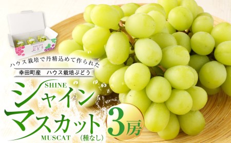 幸田町産 ハウス栽培ぶどう 「シャインマスカット（種なし）」 3房 | シャインマスカット 果物 フルーツ ぶどう ブドウ 種なし ハウス栽培 冷蔵 送料無料 ※2026年7月中旬頃～発送