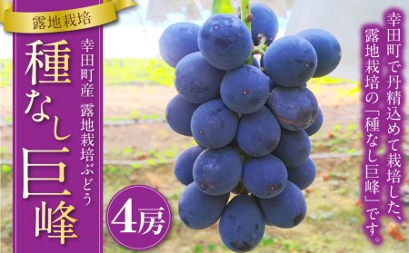 幸田町産 露地栽培ぶどう 「種なし巨峰」 4房 | 巨峰 果物 フルーツ ぶどう ブドウ 種なし 露地栽培 冷蔵 送料無料 お取り寄せ ※2026年8月中旬頃～発送