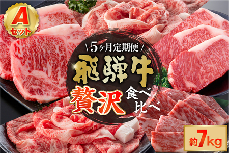 【定期便】『飛騨牛』贅沢食べ比べセットA※5回に分けてのお届けとなります。（サーロインステーキ1,360ｇ・ロースすき焼き用1,500ｇ・ロースしゃぶしゃぶ用1,500ｇ・ロース焼肉用1,500ｇ・ヒレステーキ1,200ｇ）【0016-099】岐阜県 可児市 サーロイン ステーキ ロース すき焼き しゃぶしゃぶ 焼肉 ヒレステーキ A5等級 ブランド牛 和牛 ソース付き お取り寄せ グルメ