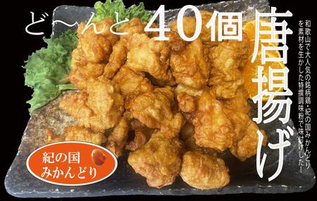DO6004n_紀の国みかんどり 特選 唐揚げ【からあげ 鶏から 冷蔵 チルド 惣菜 弁当 おかず】