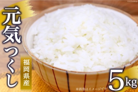 米 元気つくし 5kg 白米 精米 お米/ 松尾米穀店 / 福岡県 筑紫野市