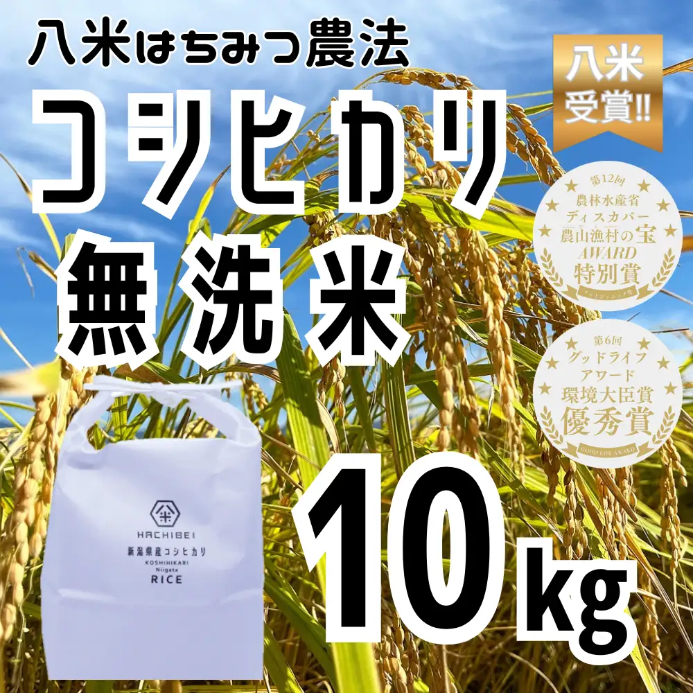 【令和7年産】【環境大臣賞受賞】【特別賞受賞】無洗米 コシヒカリ 10kg 農家直送 ほんのり甘い「はちみつ農法」 白米 精米 HACHIBEI 八米  1L08025