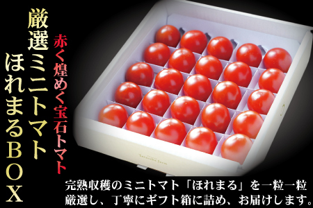 【2026年発送】【中富良野町】厳選ミニトマトほれまるBOX【BF-007】
