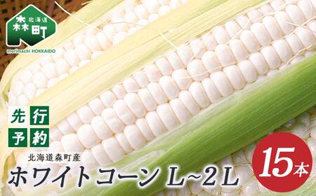 【先行予約】15本 白い とうもろこし ホワイトコーン L～2L（2026年7月下旬～9月中旬までに順次お届け）北海道産 森町産 トウモロコシ とうきび 野菜 やさい 甘い 朝もぎ mr1-0144