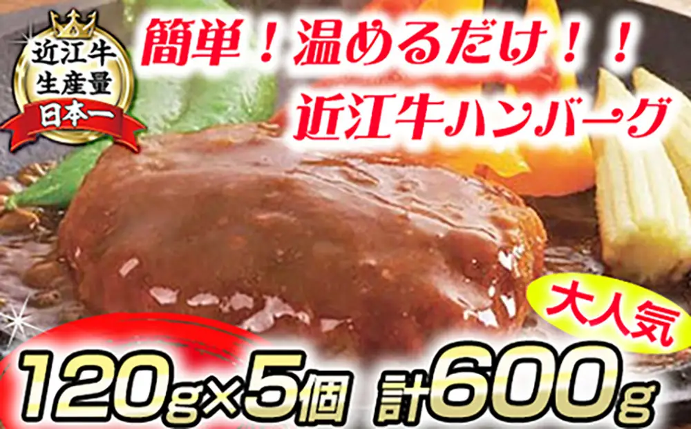 ハンバーグ 近江牛 600g (120g×5個) ブランド 牛肉 黒毛和牛 【 近江牛 】 AE14W