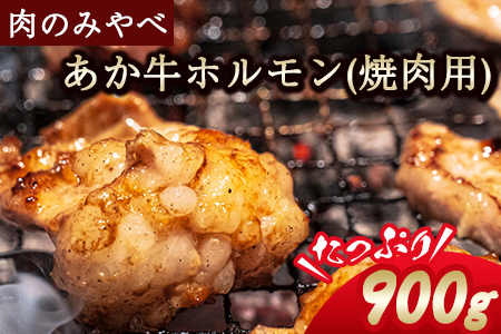 熊本県産 あか牛 焼肉 ホルモン 900g 肉のみやべ《120日以内に出荷予定(土日祝除く)》