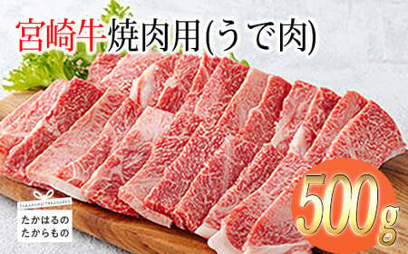 宮崎牛焼肉（うで肉）約500g　TF0568-P00012