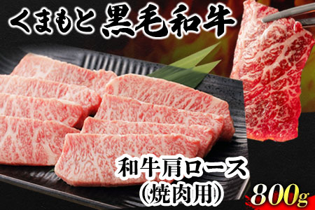 くまもと黒毛和牛 肩ロース 焼肉用 800g 肉のみやべ 《90日以内に出荷予定(土日祝除く)》