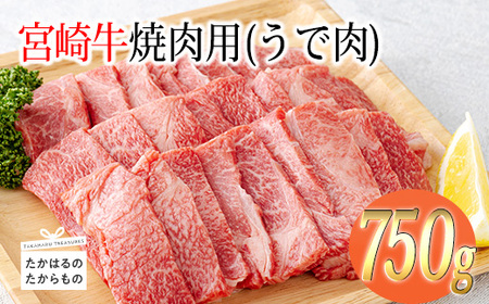 宮崎牛焼肉（うで肉）約750g　TF0569-P00012