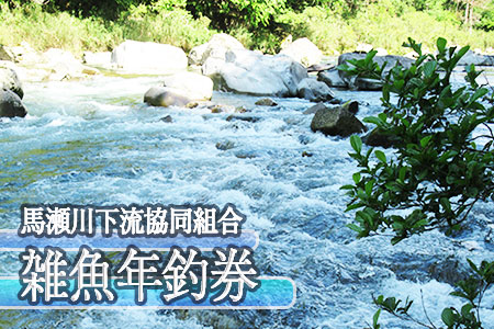 【令和8年】馬瀬川下流 雑魚年釣券【26-5】
