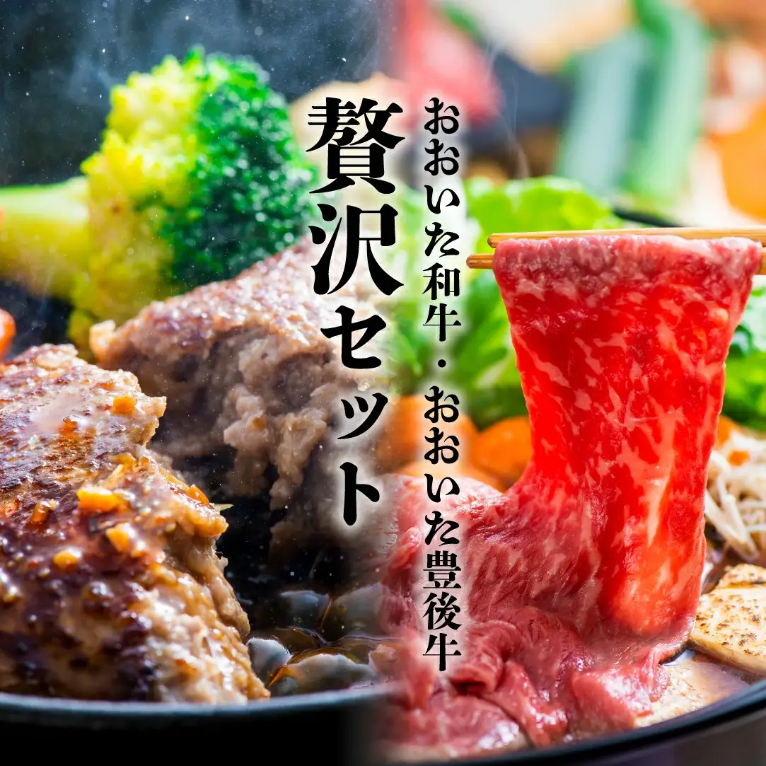 おおいた和牛モモ・ロースすき焼き肉(500g)＆豊後牛ハンバーグ(9個)贅沢セット | 豊後高田市 すき焼き