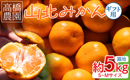 【2026年11月中旬より順次配送】山北みかん 約5kg 甘い みかん th-0024