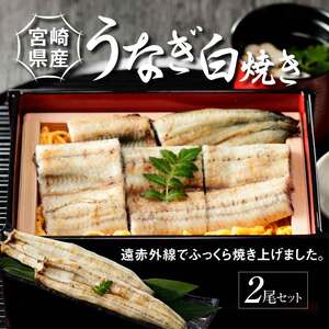 宮崎県産 うなぎ 白焼き 2尾セット K10_0006_3 