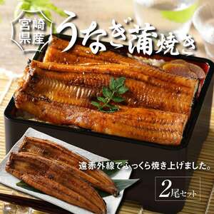 宮崎県産 うなぎ 蒲焼き 2尾セット K10_0007_3 