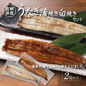 宮崎県産 うなぎ 白焼き 蒲焼き 2尾セット K10_0008_3 