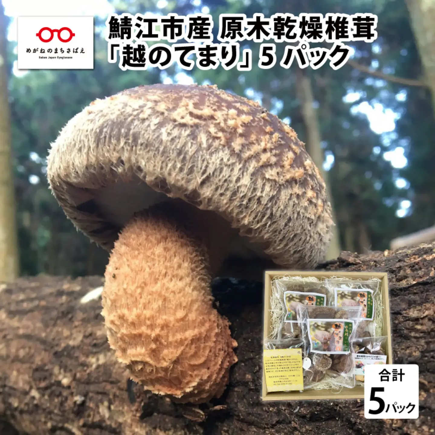 鯖江市産 原木乾燥椎茸「越のてまり」 （大・中サイズ）3パック &（小サイズ）2パック　計5パック