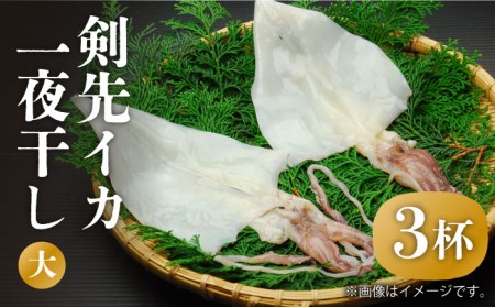 剣先イカ 一夜干 （大） 3杯 《壱岐市》【株式会社マルショウ】 いか 剣先いか セット おつまみ 一夜干し [JEW007] 20000 20000円 のし ギフト