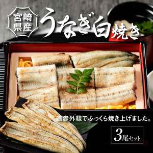 宮崎県産 うなぎ 白焼き 3尾セット K10_0010_3 