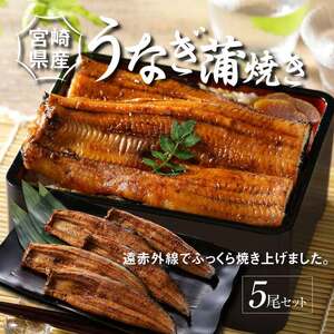 宮崎県産うなぎ蒲焼き 5尾セット_K10_0011_3