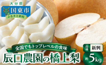 【先行予約】令和8年発送 /辰口農園の橋上梨約5kg(品種:新興)_1288R