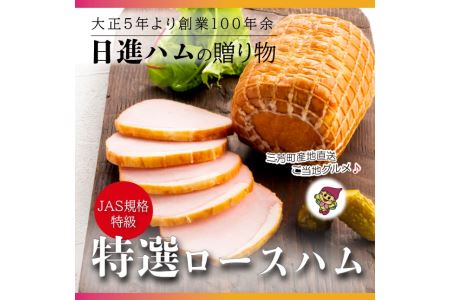 【口の中でお肉がとける贅沢な食感】日進ハム 特選ロースハム 300g ※離島への配送不可 豚ロース肉 NISSIN おかず おつまみ 手土産 FAA-153
