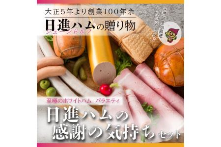 至福のホワイトハムバラエティ「日進ハムの感謝の気持ちセット」お中元 お歳暮 贈り物 クリスマス ◆ FAA-130
