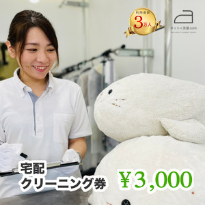 ネットで洗濯 クリーニング 券 3,000円分 166-004 ネット 洗濯 服 帽子 キャップ ダウンジャケット マウンテンパーカー かばん ぬいぐるみ