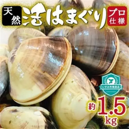天然はまぐり約1.5kg (千葉県産)_蛤 ハマグリ 海鮮 貝 出汁 だし_【配送不可地域：離島・沖縄県】【1306034】